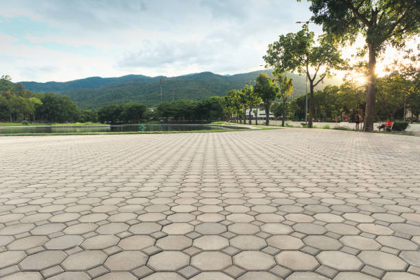 Best Professional Driveway Pavers  in Tulia, TX